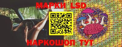spice Донской