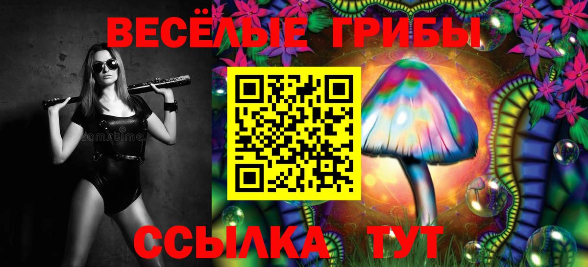 Миллерово  Псилоцибиновые грибы мухоморы  Псилоцибиновые грибы прущие грибы  Вход с VPN 